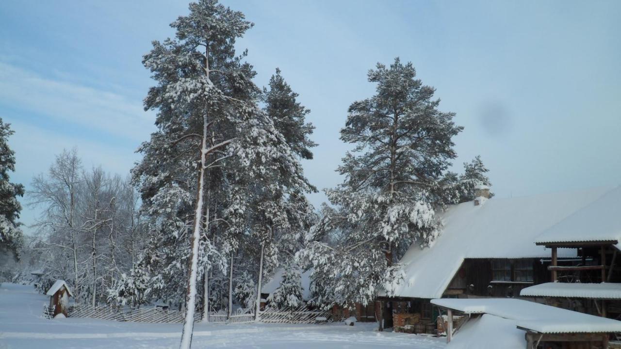 Viruna Farm Kiraste Zewnętrze zdjęcie