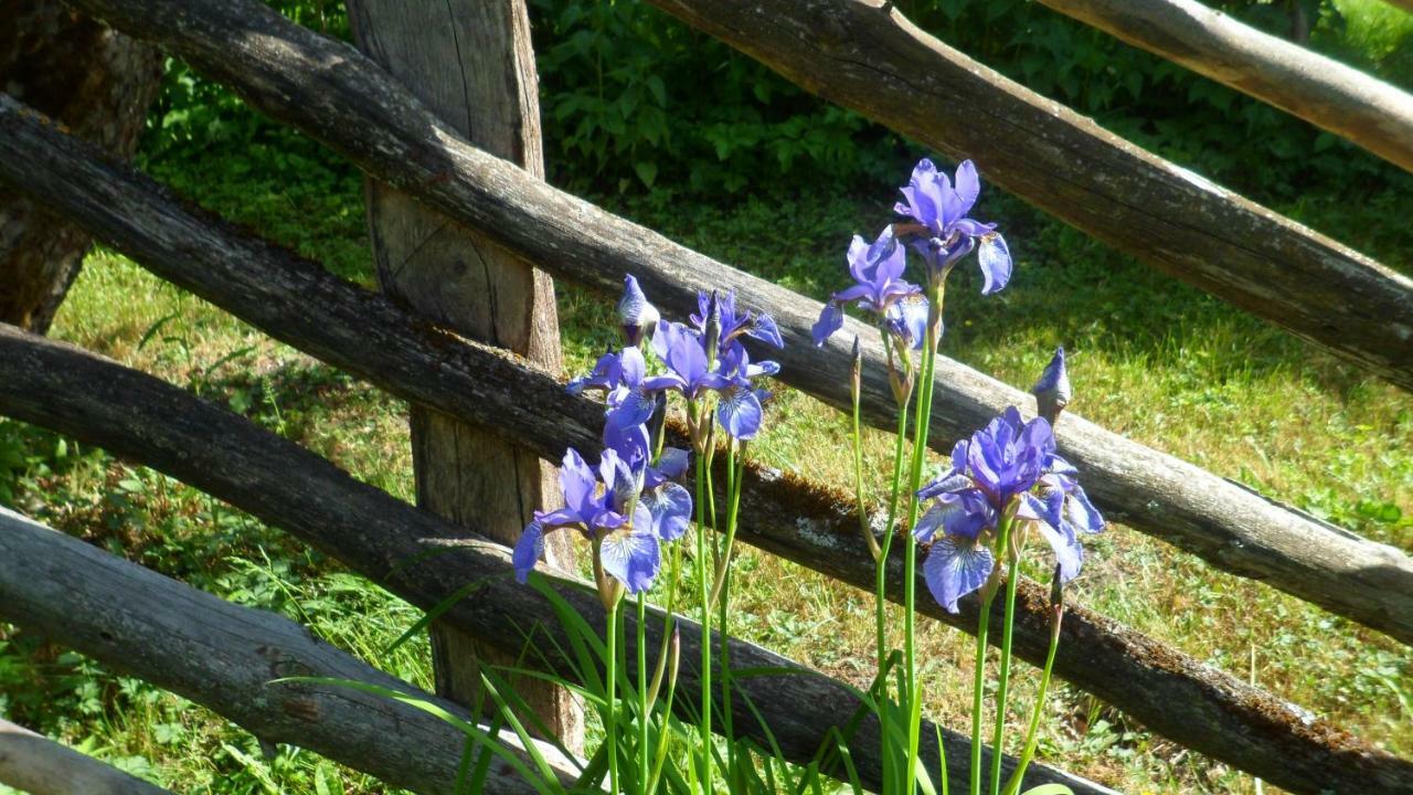 Viruna Farm Kiraste Zewnętrze zdjęcie