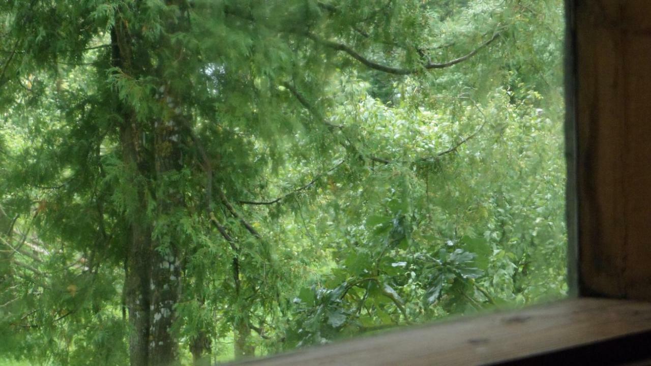 Viruna Farm Kiraste Zewnętrze zdjęcie