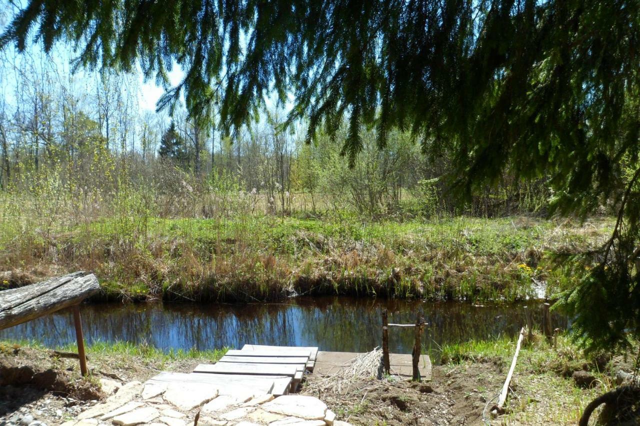 Viruna Farm Kiraste Zewnętrze zdjęcie